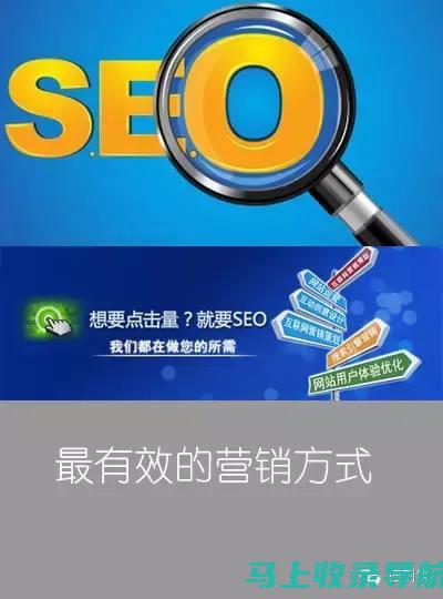 SEO基础教程：搜索引擎优化入门实战技巧